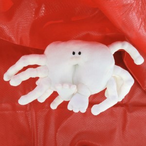 photo 3 (1) のコピー